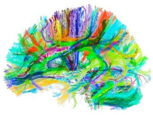 brain activity - mind enhancing gifts